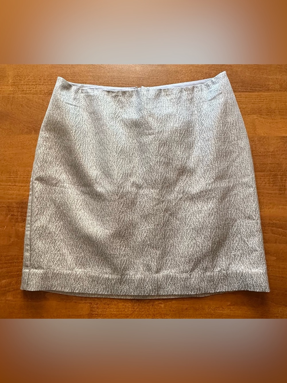 Ann Taylor•mini pencil skirt•size 4•silk/metallic/cotton•silver•lined•textured